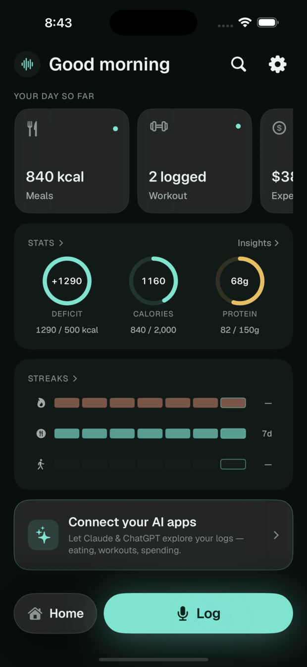 Your day, in VoiceLog